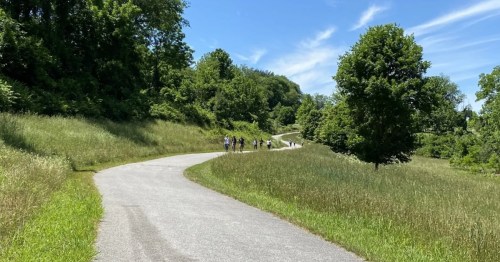 Paved Auburn Valley Trail in summer, winding through tall grass and trees with hikers ascending the grade.