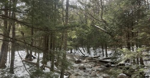 A river running through a forest dusted in show.