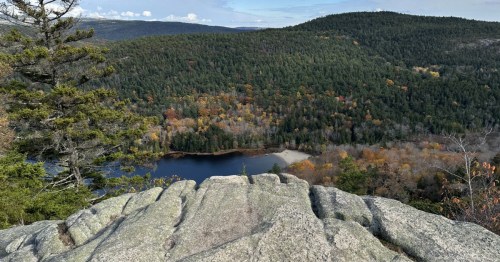 View from the top of the Beech Cliff Ladder and Canada Cliff Loop, looking down at a forest and lake below.