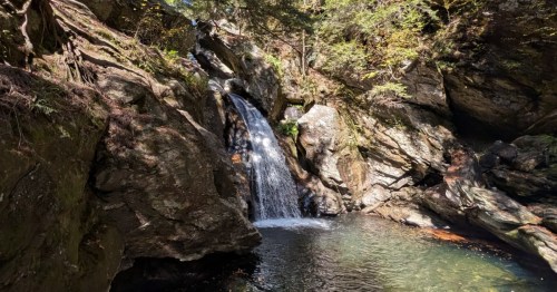 Bingham Falls plunging over dark, mossy rocks into a clear pool within a shady gorge in Mount Mansfield State Forest.