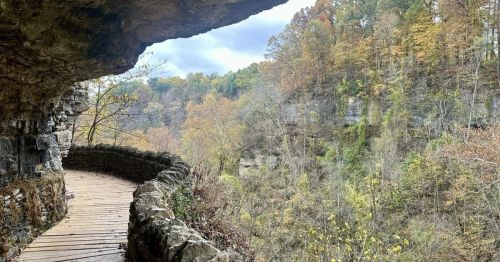 A path under a cliff in a forest.