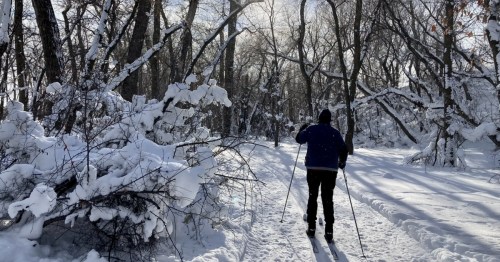 Cross-country skiing trail at Cross Ranch State Park, ideal for winter recreation.