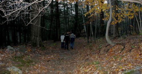 Three people walking in a dark forest.