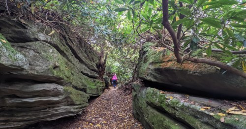 Hikers on the Rock Maze Trail walk through a narrow path between tall, moss-covered boulders in a forest.