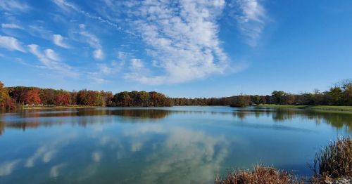 A lake at the edge of a forest.