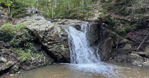 A small, tiered waterfall flows over mossy rocks and plunges into a pool in a lush forest setting.