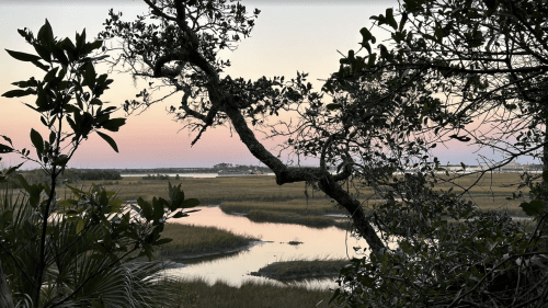 A serene landscape at dusk, featuring a winding waterway surrounded by marsh grass and silhouetted trees.