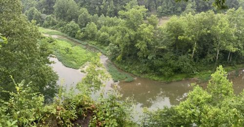 A river running through a forest.
