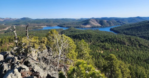 Flume Trail, Black Hills NF. A vast, dense pine forest with a clear, blue lake winding through the middle.