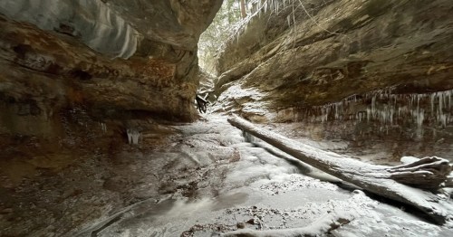 A snowy canyon in Turkey Run State Park