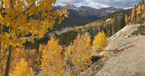 Vibrant golden aspens covering rolling hills with distant mountains under autumn clouds, showcasing Colorado’s iconic fall foliage.