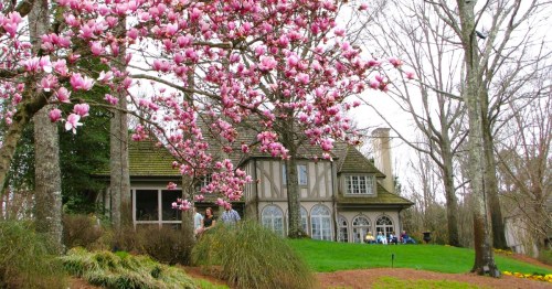 A mansion at Gibbs Gardens in Georgia framed by beautiful cherry blossoms