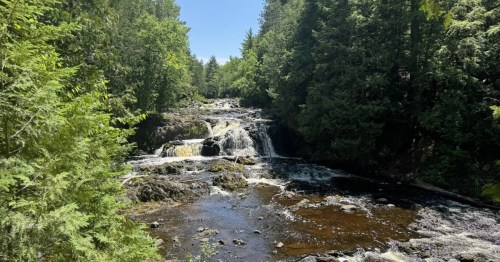 Bright green trees flanking a brownish river with small waterfalls
