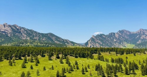 A wide grassy meadow dotted with pine trees leading toward the dramatic peaks of the Flatirons on a clear day.