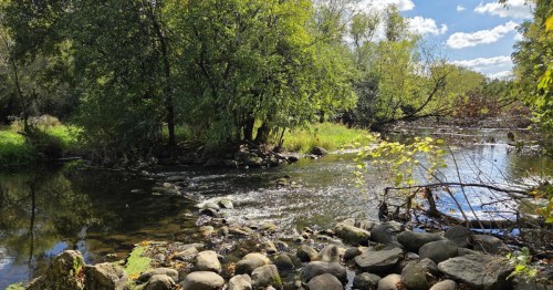 A river rushing between segments of forest against smooth, round rocks