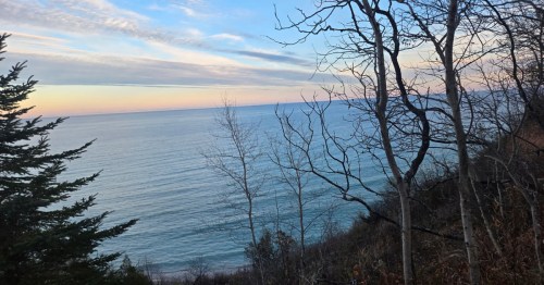 A pink and blue sky over Lake Michigan peaking out between bare trees