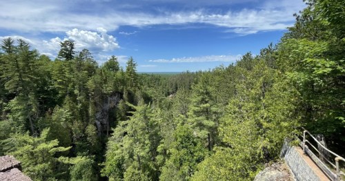 Bright green pine tree canopies from a high lookout point at Manitou Falls with a bright blue, white cloud dotted sky