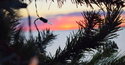 view of the water and string lights on a pine tree in milford ct