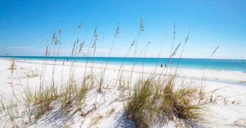 Shell island dunes and beach on a sunny day