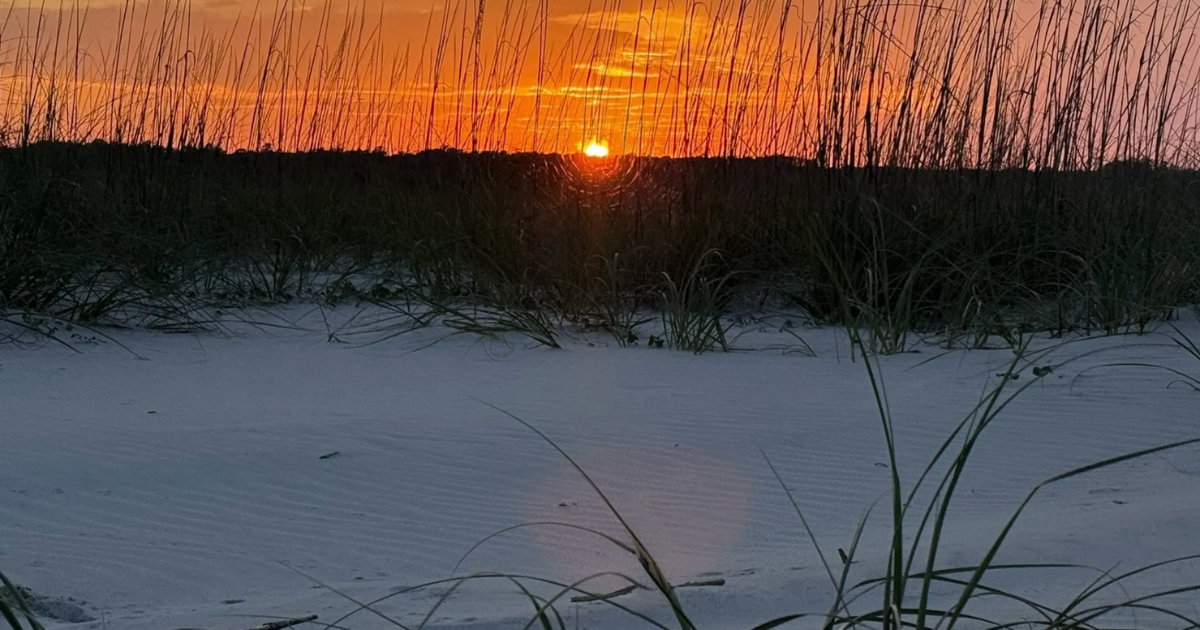 Find 6 Bucket-List-Level Views in South Carolina Without Needing to Be an Expert Hiker