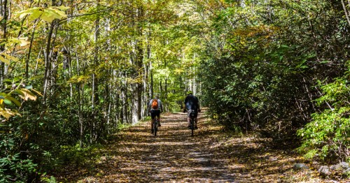 Bikers on the Virginia Creeper Trail
