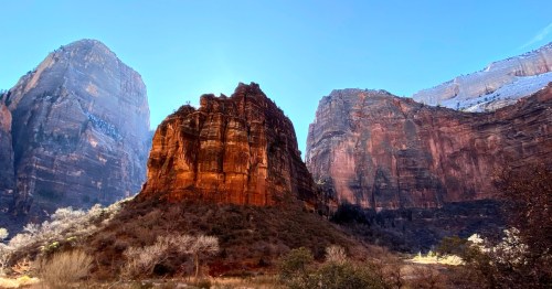 Towering red sandstone cliffs in Zion National Park, Utah, dusted with snow under a clear blue winter sky, showcasing the rugged canyon landscape and bare trees below.