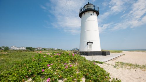 A white lighthouse stands on a sandy beach, surrounded by green grass and pink flowers under a clear blue sky.