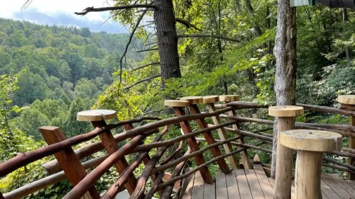 A wooden deck with a rustic railing overlooks a lush green forest and hills under a cloudy sky.