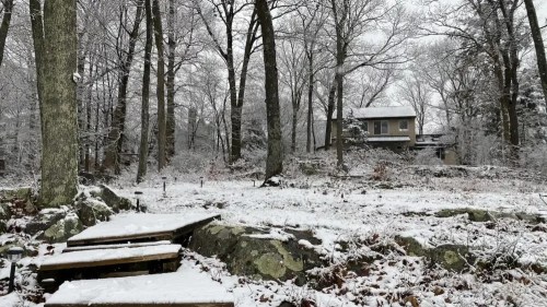 A snowy landscape with wooden steps leading through trees to a house in the background.