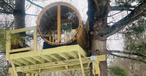 A unique, elevated cedar barrel sauna with a large glass window nestled among tall pine trees.