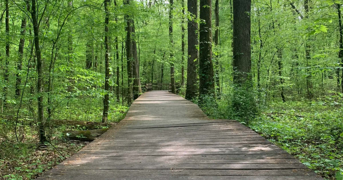 I’ve Been Gatekeeping This Hidden Hiking Trail in Alabama