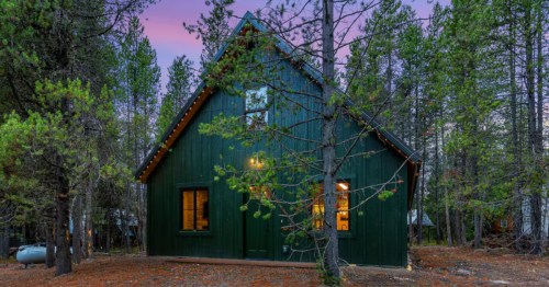 The exterior of a green cabin surrounded by tall pine trees at dusk.