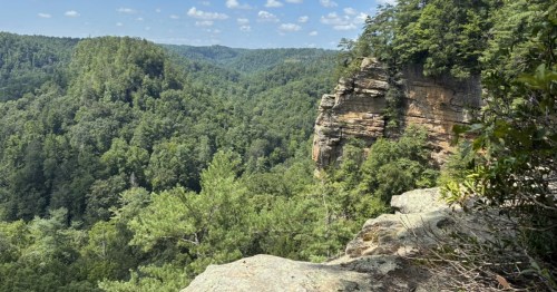 The 15 Best Things To Do In Kentucky In Spring