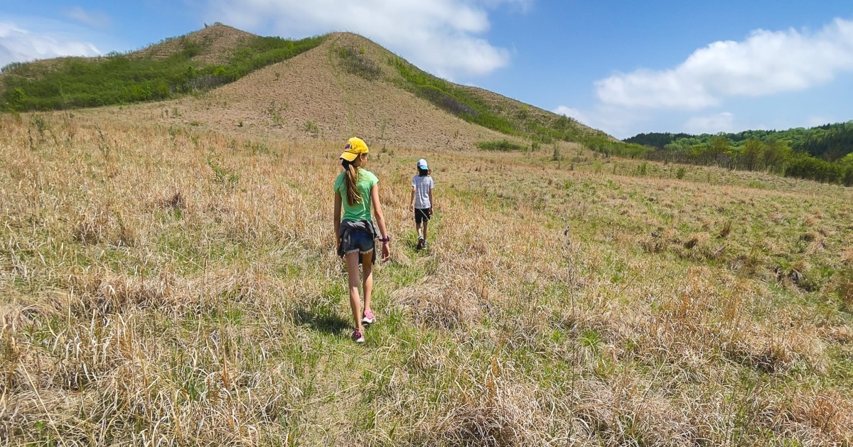 This One Hike In Iowa Proves It’s Not as Flat as You Think