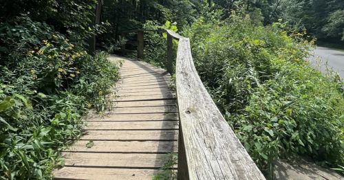 A wooden pathway going through a forest with a railing.
