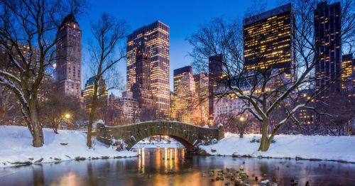 A snowy day in Central Park overlooking "The Pond".