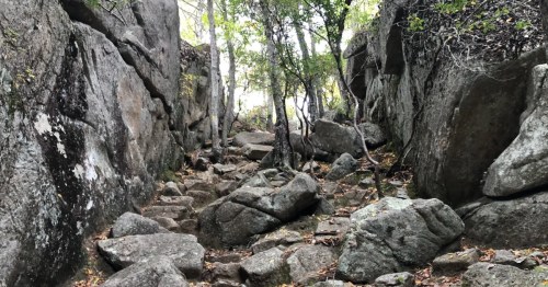 A steep rocky scramble between large granite boulders on the Long Pond Woods Trail.