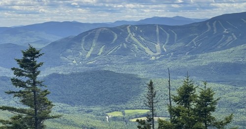 A view of a green mountain covered in hiking trails forming a maze-like appearance.