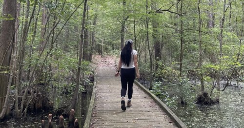 A female hiker walks on a boardwalk trail on a lesser-known hiking trail in North Carolina.
