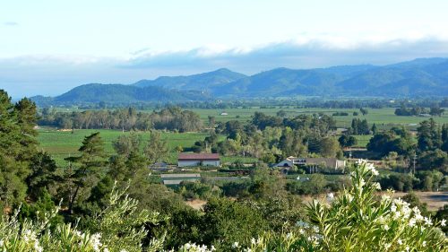 A scenic view of rolling green hills, vineyards, and distant mountains under a clear blue sky.