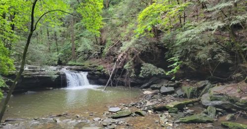 alt