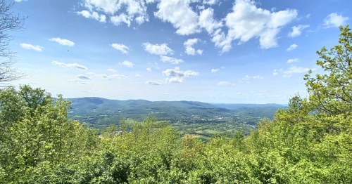 A view of a mountain overlook through a thick band of green trees.