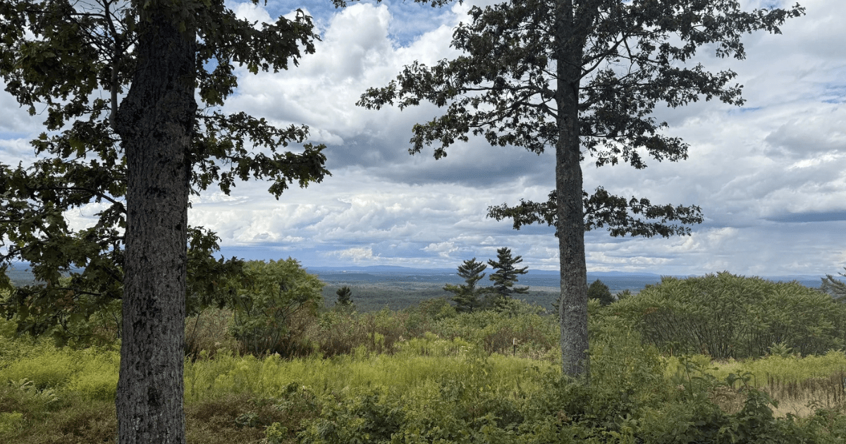 I’ve Been Gatekeeping a Little-Known Hiking Trail in Maine