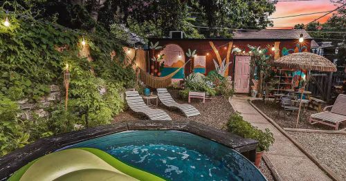 A tropical backyard with a pool.