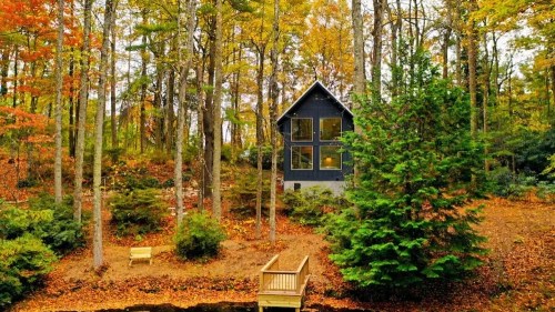 A cozy black cabin surrounded by colorful autumn trees, near a small pond with a wooden deck.