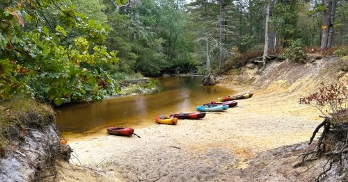 Several kayaks sitting on the banks of a sandy "beach" area inside the woodlands of Wharton State Forest in New Jersey.