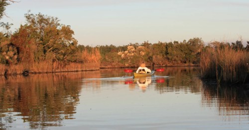 Person kayaking through a narrow bayou at golden hour, with warm sunlight reflecting off the water and autumn-colored trees.