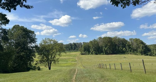 a narrow dirt trail through farmland leads to a treeline in the distance at brandywine creek state park in delaware
