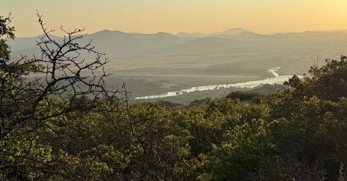 Soft golden sunset light illuminating distant mountain ridges and a winding river, viewed from a hillside surrounded by trees.