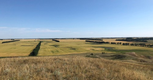 High-angle panoramic view of vast golden farmland and green windbreaks stretching to the North Dakota horizon.